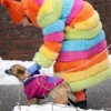 Elsbeth Carrie Preston Rainbow Faux Fur Coat