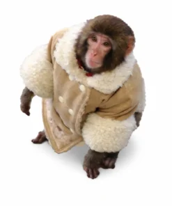 Ikea Monkey Shearling Jacket